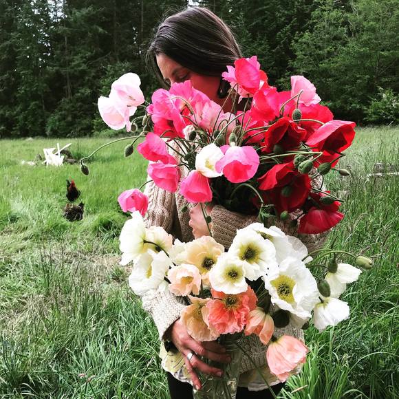 Meet your Posher, Mara - Picture 1 of 1